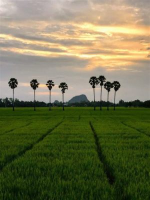  Where the Roads Meet: A Journey Through Thailand's Social Landscapes - Navigating Complexities of Identity and Change in a Modernizing Nation